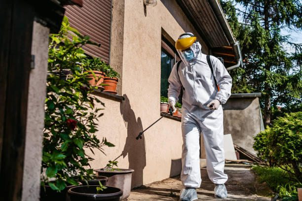 Wasp Removal Services in Eagleview, PA