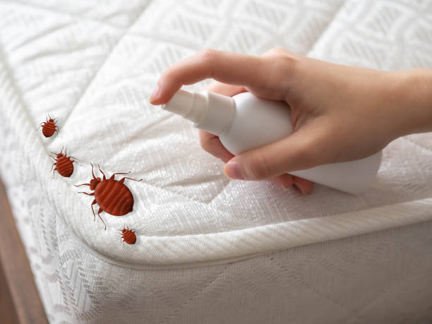 Best Wasp Removal Services  in Eagleview, PA