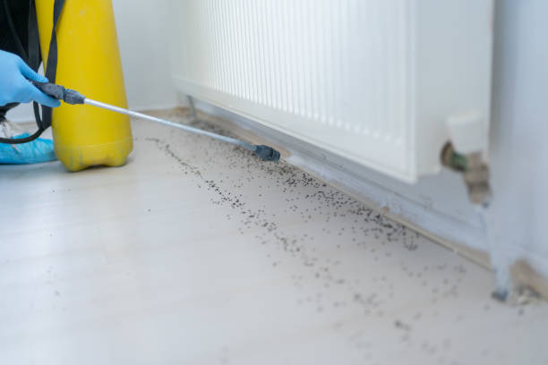 Best Residential Pest Control  in Eagleview, PA